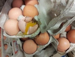 К чему снятся тухлые яйца